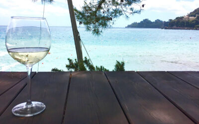 Sommer, Sonne, Wein im Glas I 24. April 2026 I 19:00 Uhr